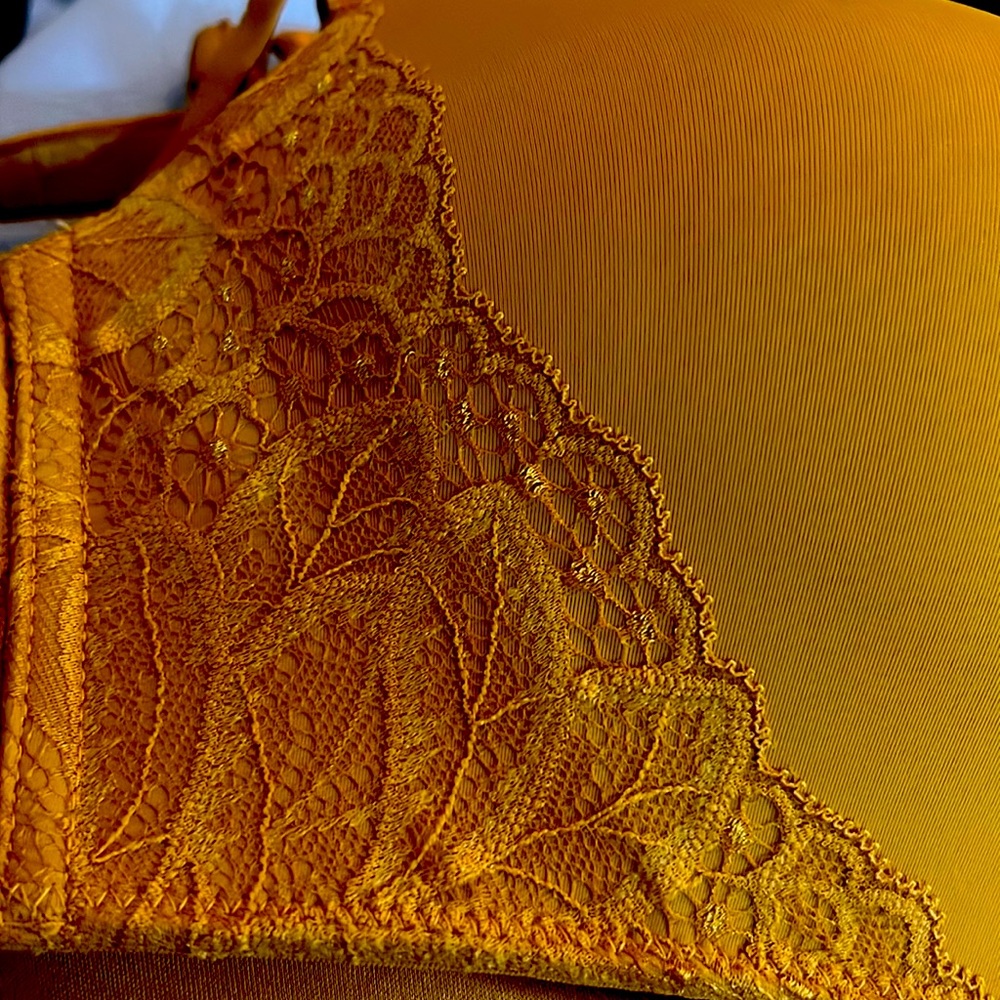 Sexy Gold Bra